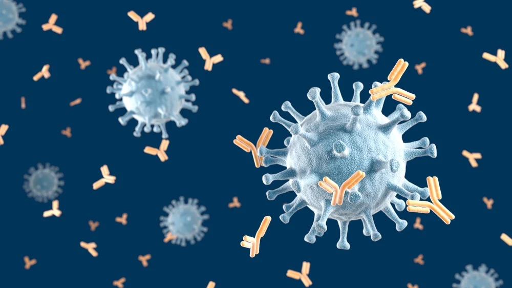 Illusztráció / Fotó: Shutterstock