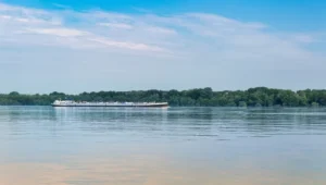 Illusztráció / Fotó: Shutterstock