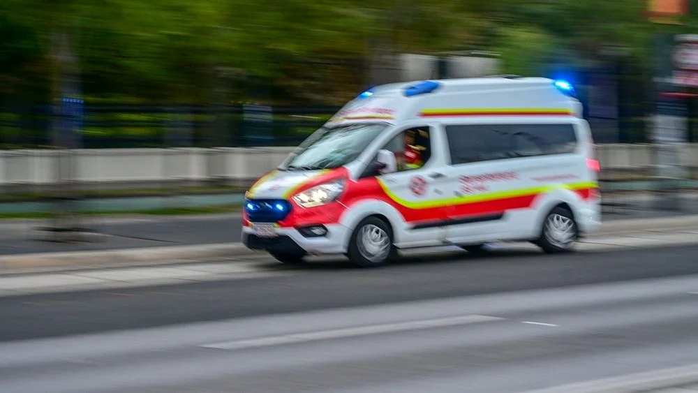 Illusztráció / Fotó: Shutterstock