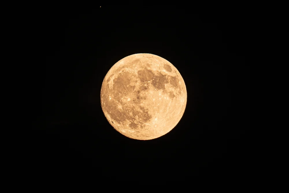 Illusztáció / Fotó: Shutterstock