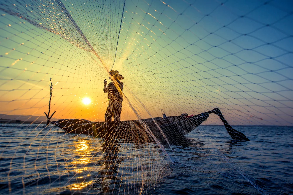 Illusztráció / Fotó: Shutterstock