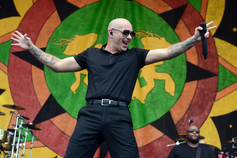 Pitbull / Fotó: Shutterstock